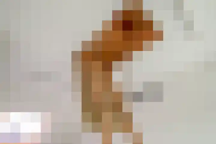 Hofkamp 42 Losser thumbnail 20