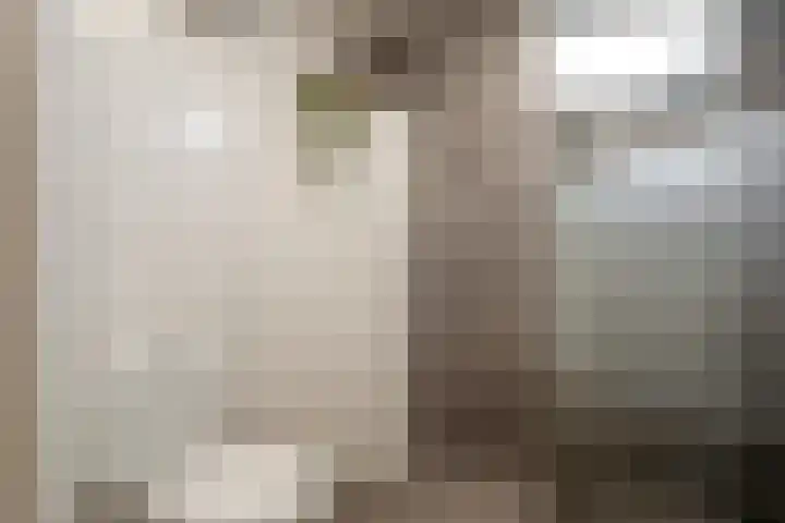 Hofkamp 42 Losser thumbnail 31