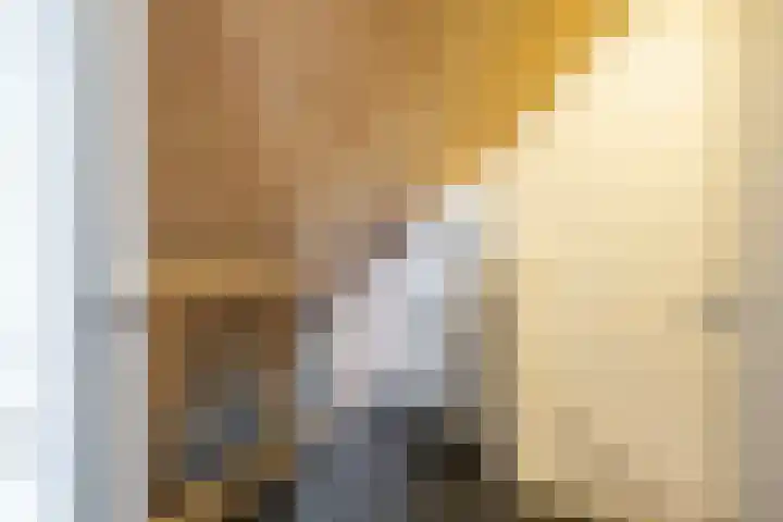 Hofkamp 42 Losser thumbnail 33