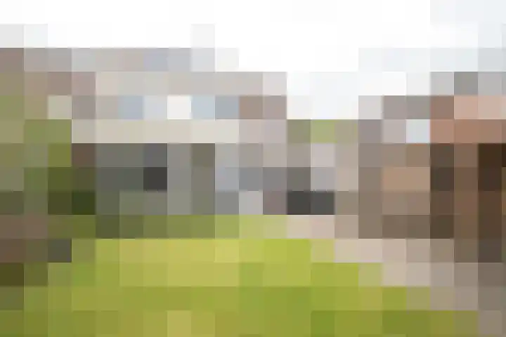 Hofkamp 42 Losser thumbnail 39