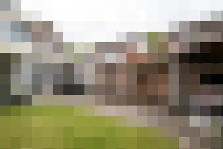 Hofkamp 42 Losser thumbnail 40