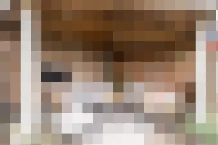 Hofkamp 42 Losser thumbnail 42