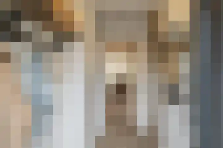 Hofkamp 42 Losser thumbnail 5