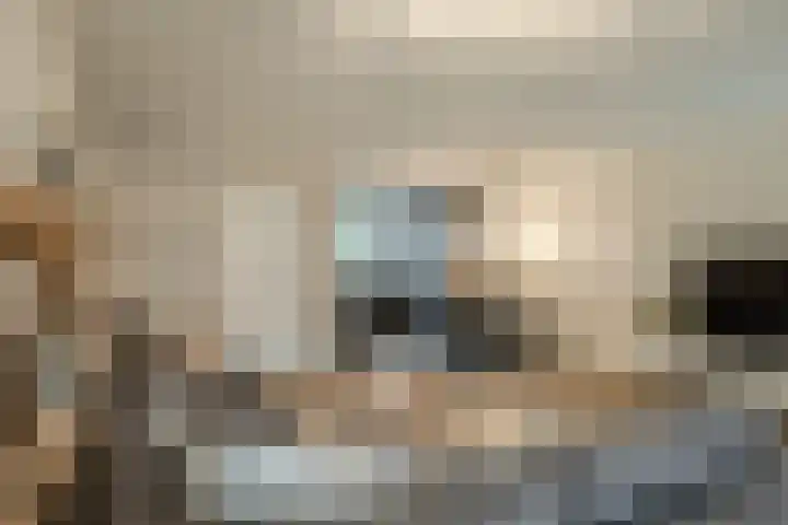 Hofkamp 42 Losser thumbnail 8