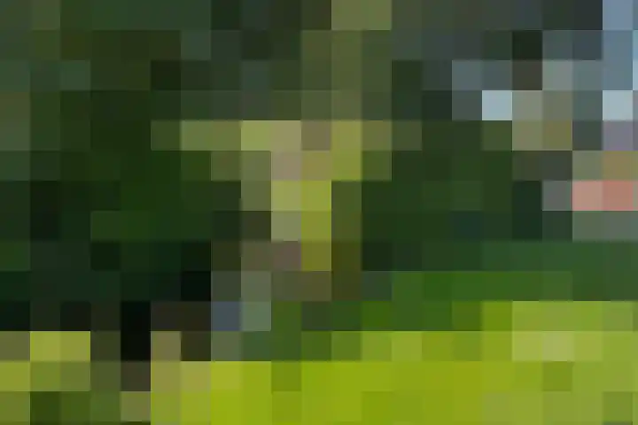 Hofkamp 7 Losser thumbnail 15