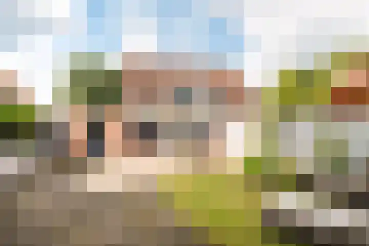 Hofkamp 7 Losser thumbnail 34