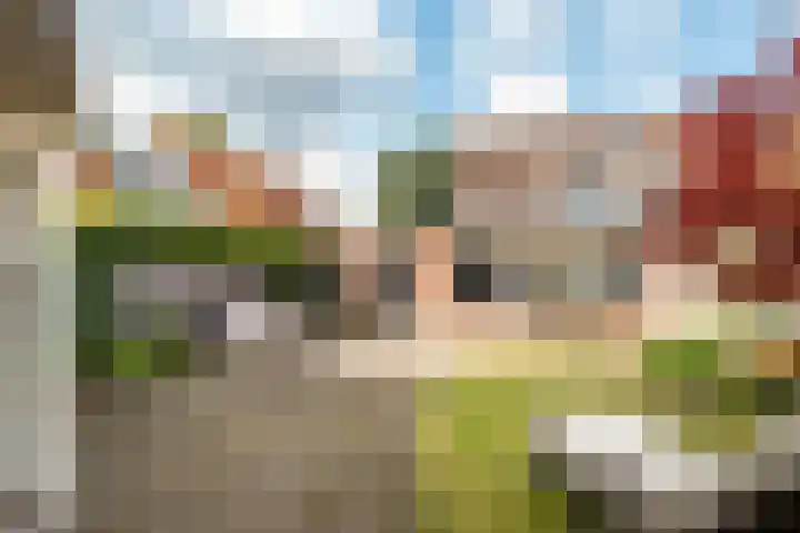 Hofkamp 7 Losser thumbnail 35