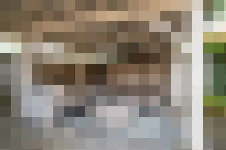Hofkamp 7 Losser thumbnail 36
