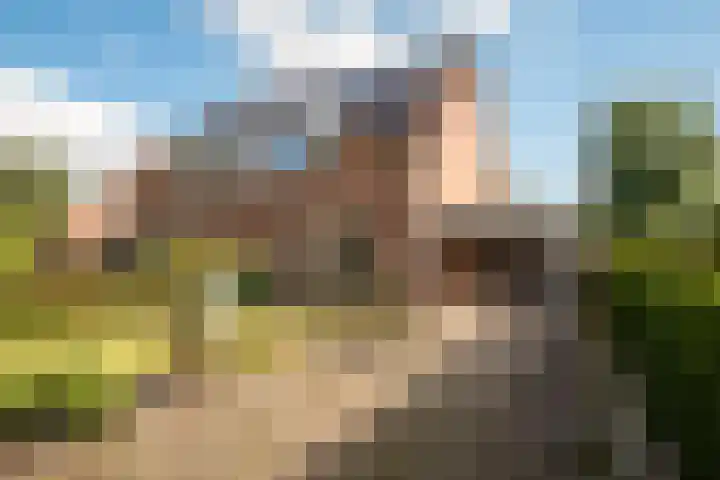 Hofkamp 7 Losser thumbnail 4