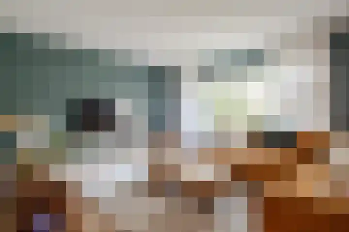 Hofkamp 7 Losser thumbnail 8