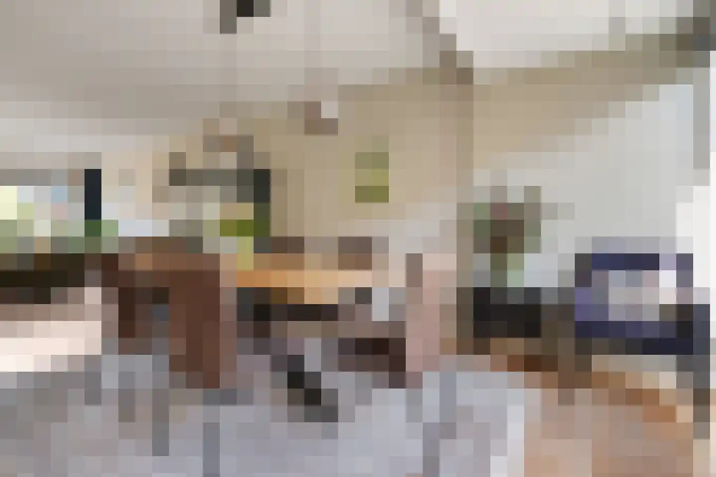 Hofkamp 97 Losser thumbnail 12