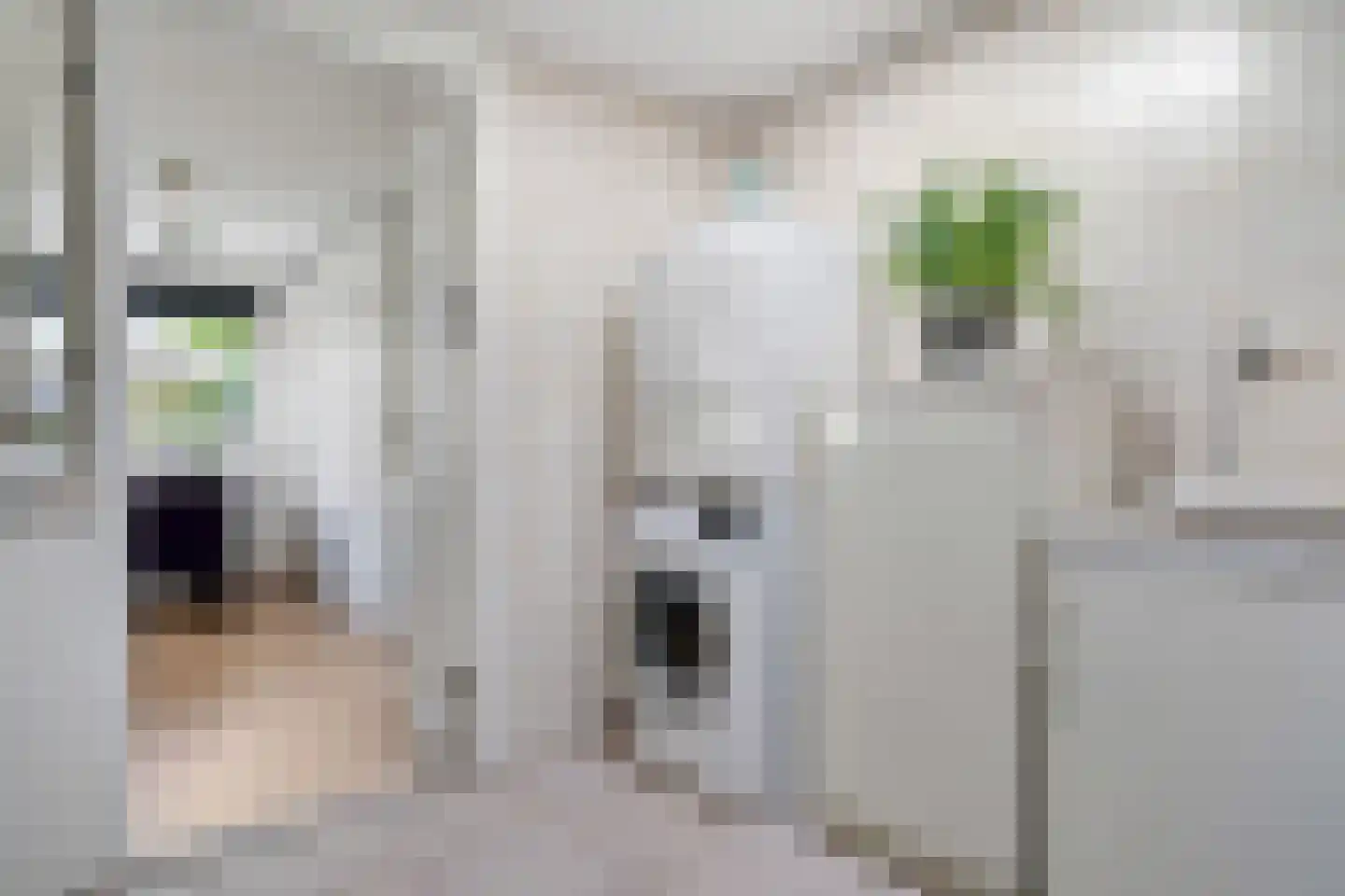 Hofkamp 97 Losser thumbnail 18