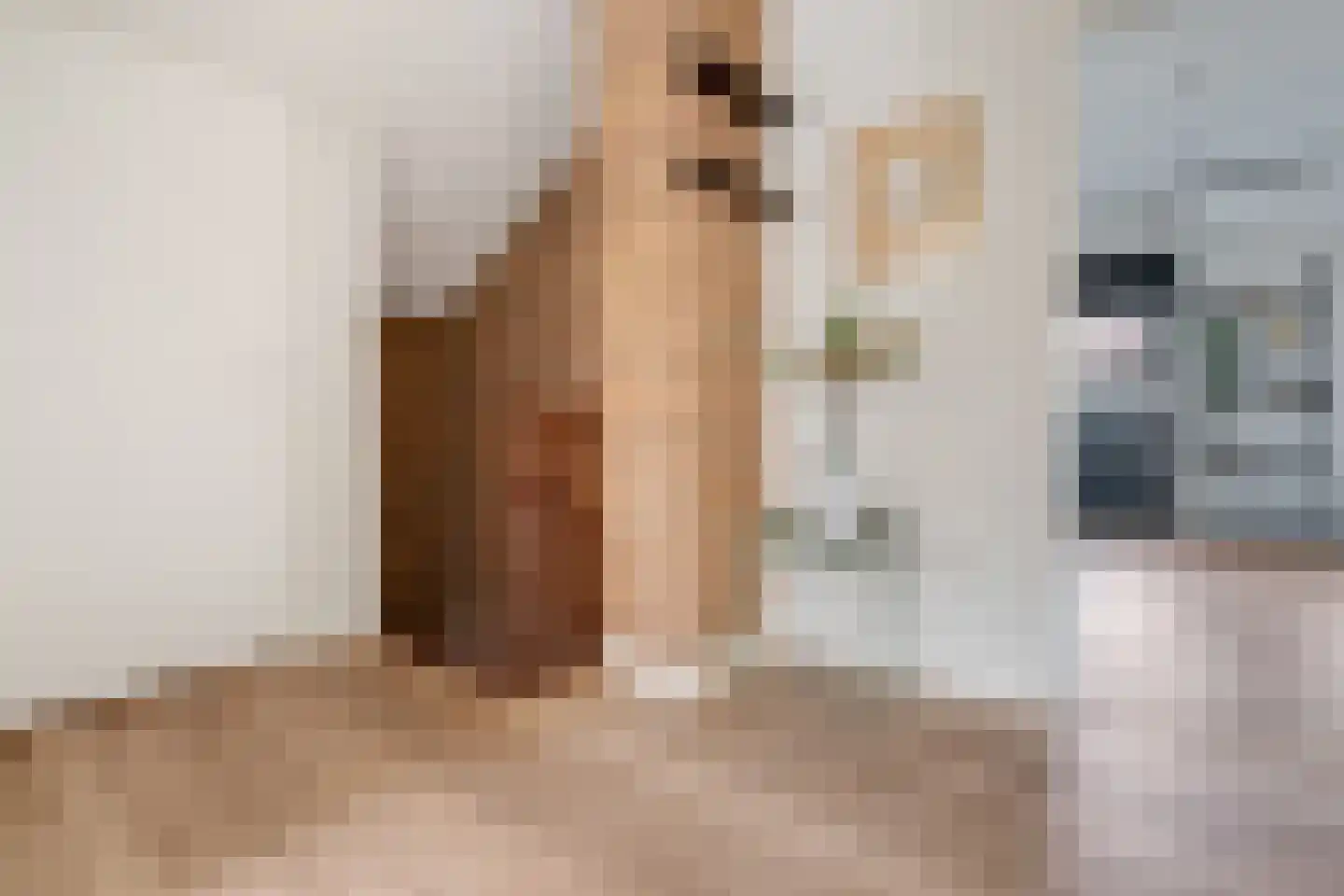Hofkamp 97 Losser thumbnail 23
