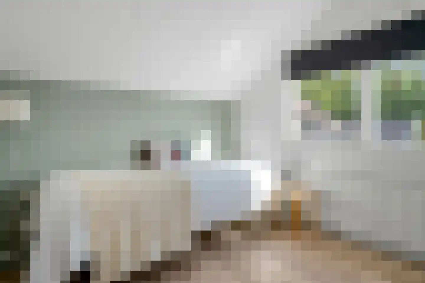 Hofkamp 97 Losser thumbnail 28