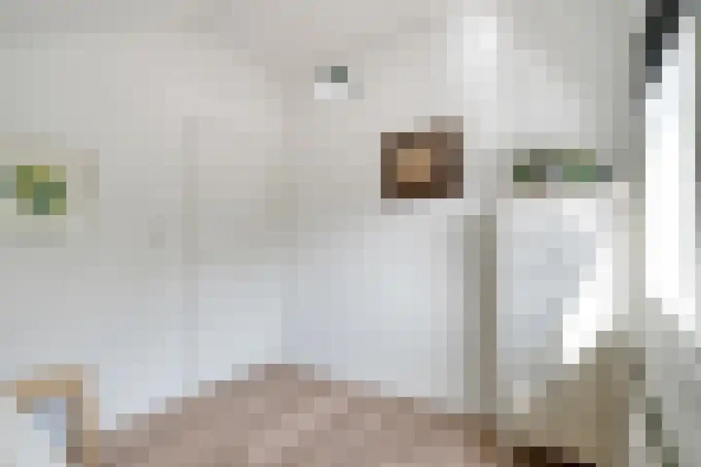Hofkamp 97 Losser thumbnail 29