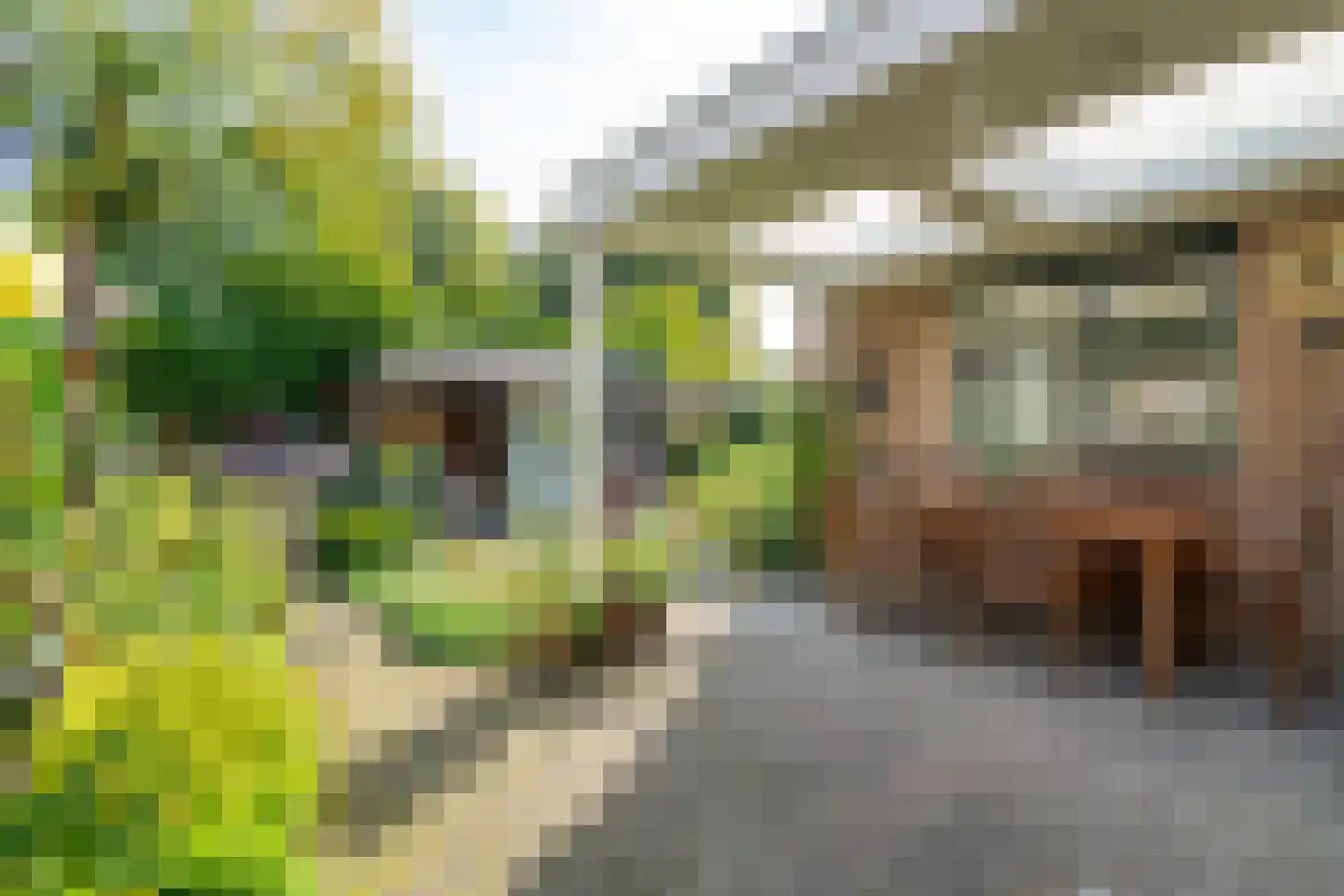 Hofkamp 97 Losser thumbnail 35