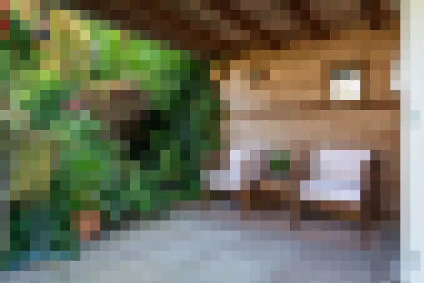 Hofkamp 97 Losser thumbnail 37