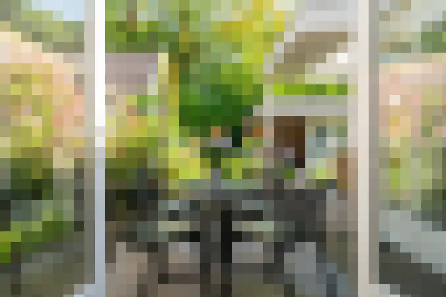 Hofkamp 97 Losser thumbnail 5