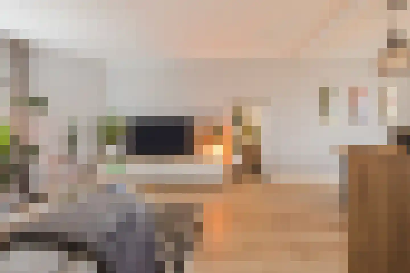 Hofkampstraat 107 Almelo thumbnail 4
