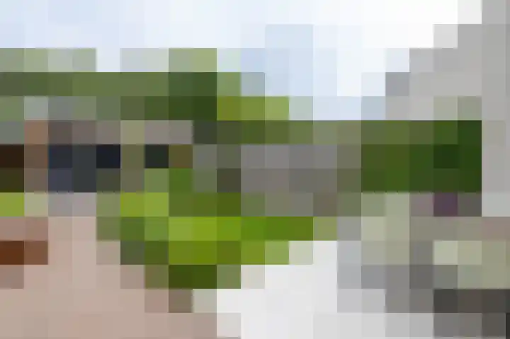 Hofkampstraat 14 Almelo thumbnail 30