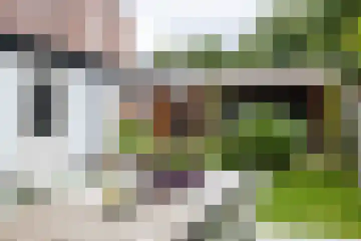 Hofkampstraat 14 Almelo thumbnail 31