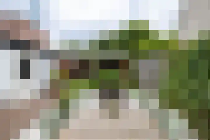 Hofkampstraat 14 Almelo thumbnail 32