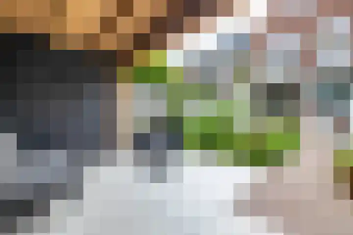 Hofkampstraat 14 Almelo thumbnail 34