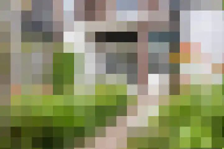 Hofkampstraat 14 Almelo thumbnail 35