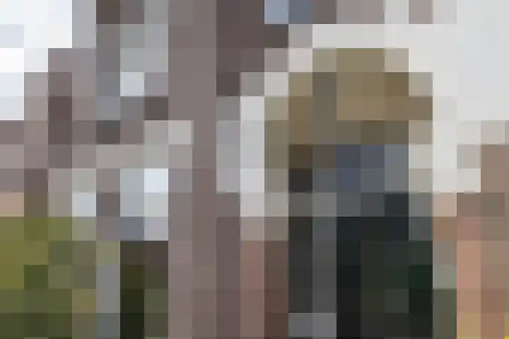 Hofkampstraat 29 Almelo thumbnail 35