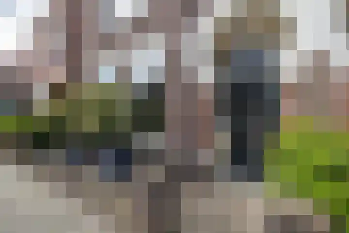 Hofkampstraat 29 Almelo thumbnail 36