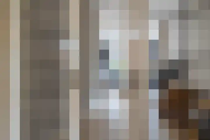 Hofkampstraat 29 Almelo thumbnail 8