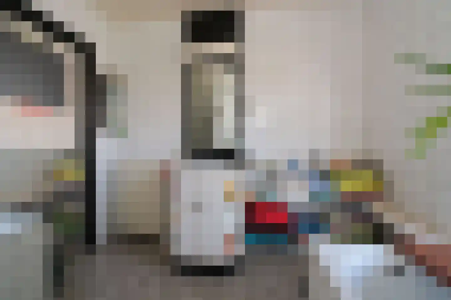 Hofkampstraat 35 Almelo thumbnail 15