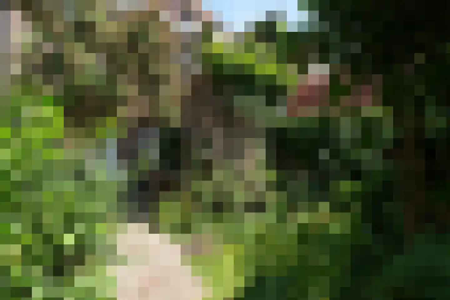 Hofkampstraat 35 Almelo thumbnail 22