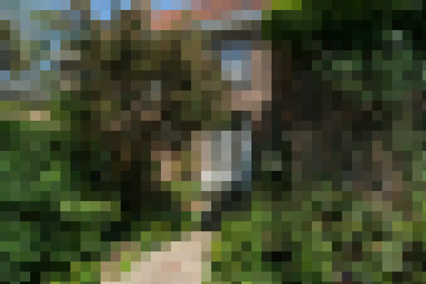 Hofkampstraat 35 Almelo thumbnail 23