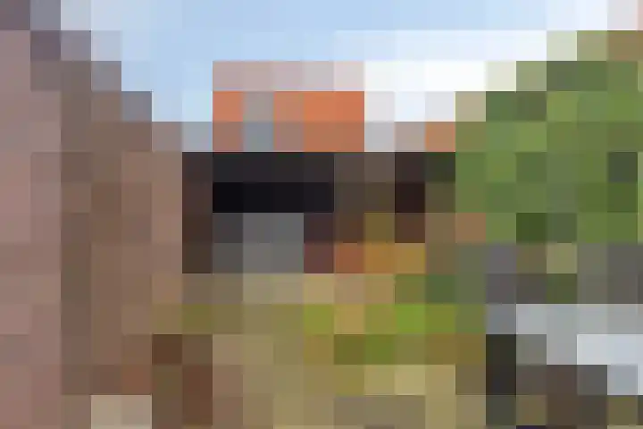 Hofkersstraat 30 Nijmegen thumbnail 29