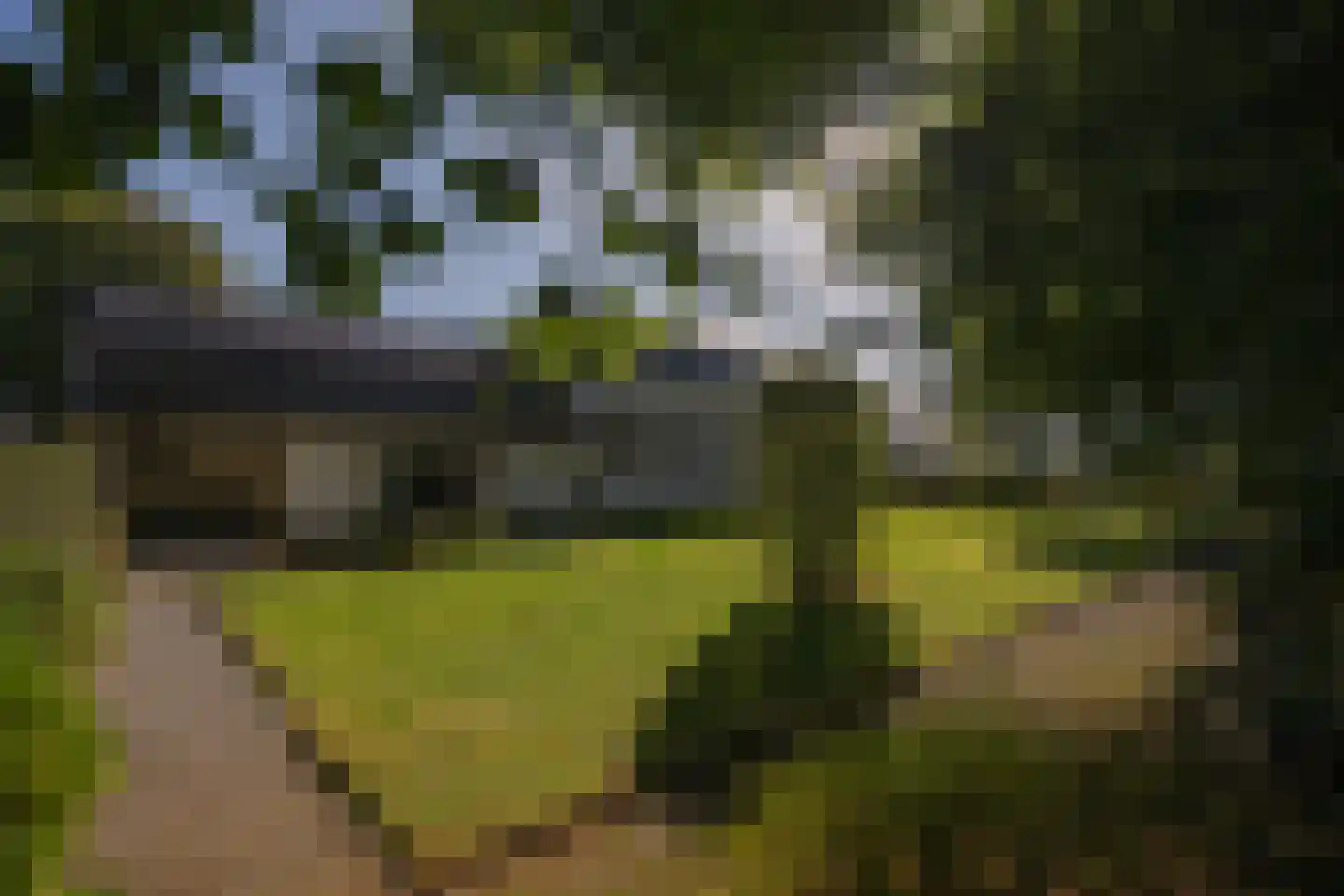 Höfkestraat 15 Bunde thumbnail 43