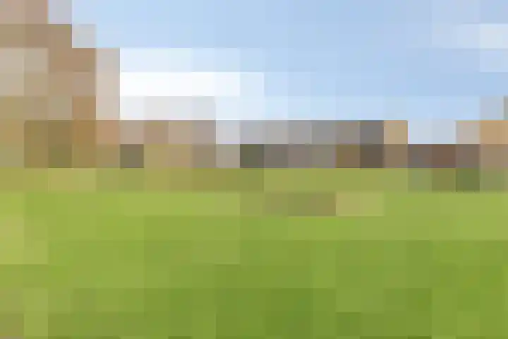 Hofkesweg 13 Heenvliet