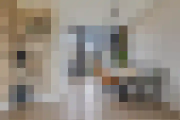 Hofkesweg 13 Heenvliet thumbnail 10