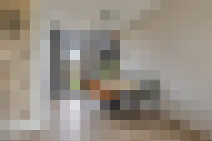 Hofkesweg 13 Heenvliet thumbnail 11