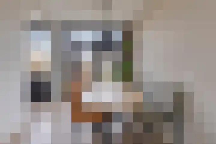 Hofkesweg 13 Heenvliet thumbnail 12