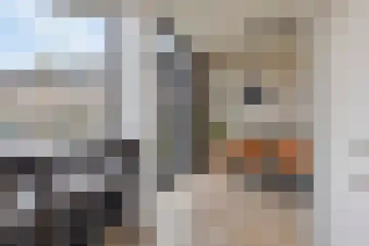 Hofkesweg 13 Heenvliet thumbnail 14