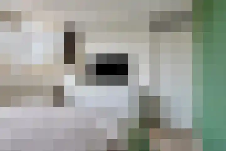 Hofkesweg 13 Heenvliet thumbnail 25