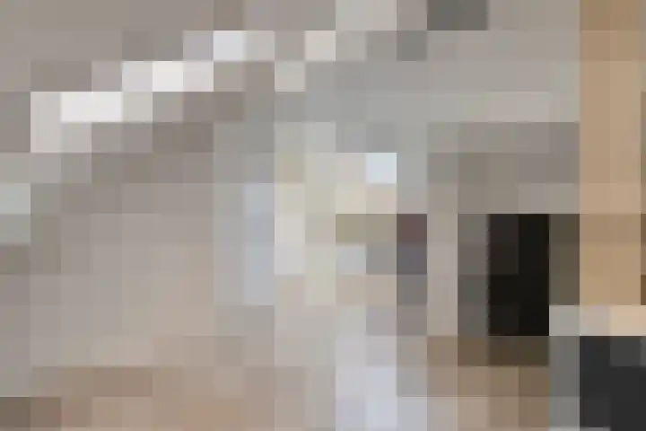 Hofkesweg 13 Heenvliet thumbnail 31