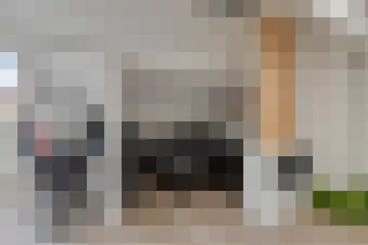 Hofkesweg 13 Heenvliet thumbnail 33