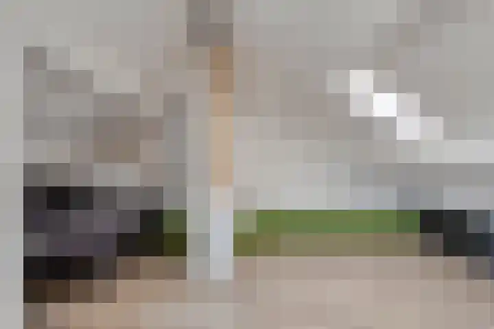Hofkesweg 13 Heenvliet thumbnail 34