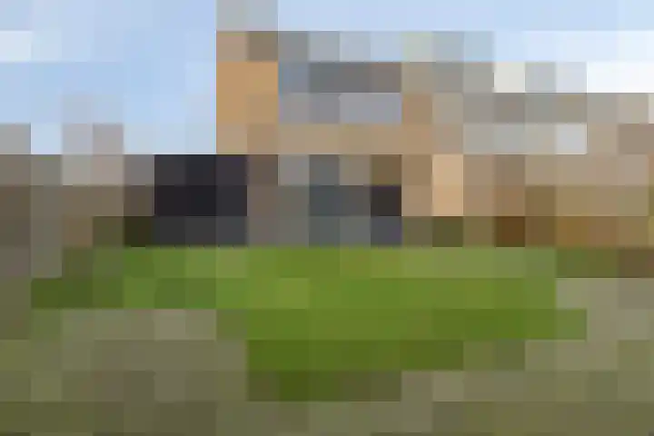 Hofkesweg 13 Heenvliet thumbnail 37
