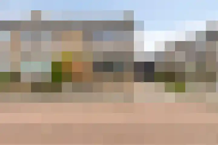 Hofkesweg 13 Heenvliet thumbnail 4