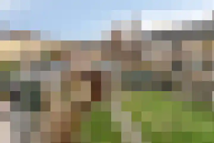 Hofkesweg 13 Heenvliet thumbnail 43