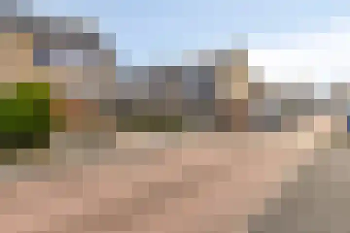 Hofkesweg 13 Heenvliet thumbnail 46