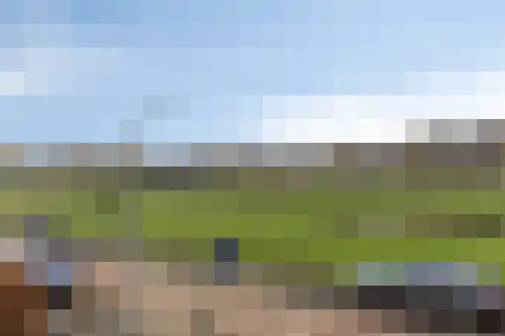 Hofkesweg 13 Heenvliet thumbnail 48